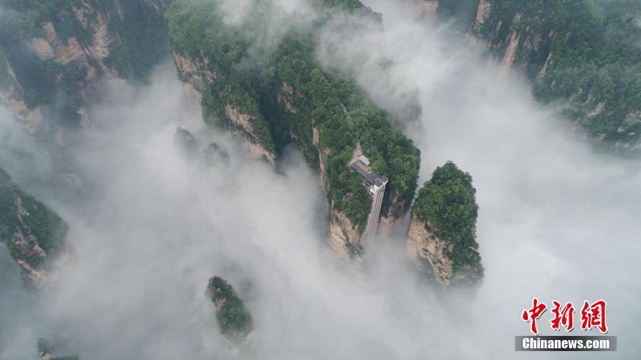 ????? ????? ?????? ??????????? ??? ???? ?????