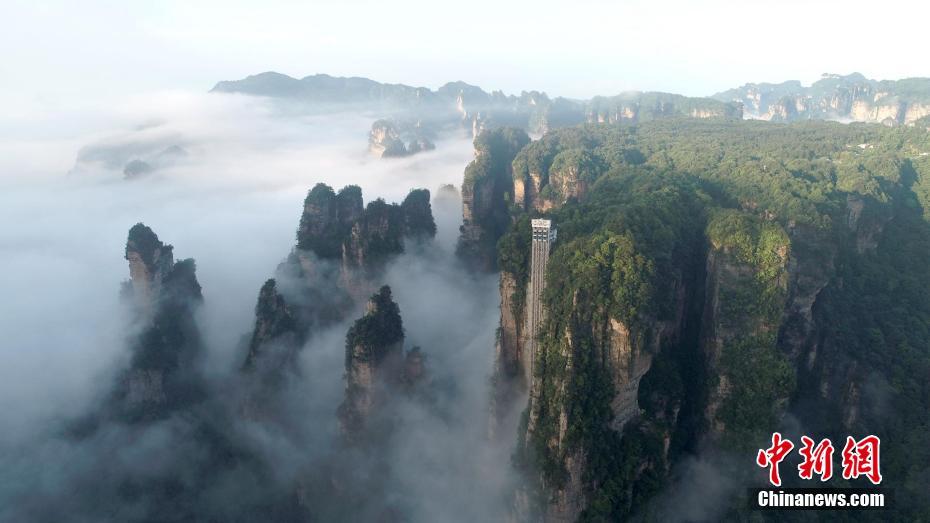 ????? ????? ?????? ??????????? ??? ???? ?????