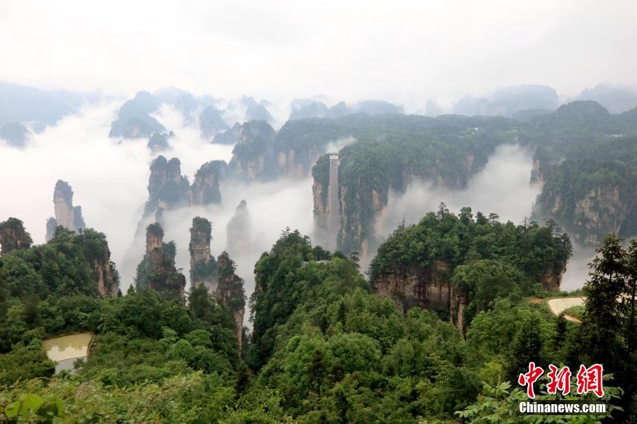 ????? ????? ?????? ??????????? ??? ???? ?????