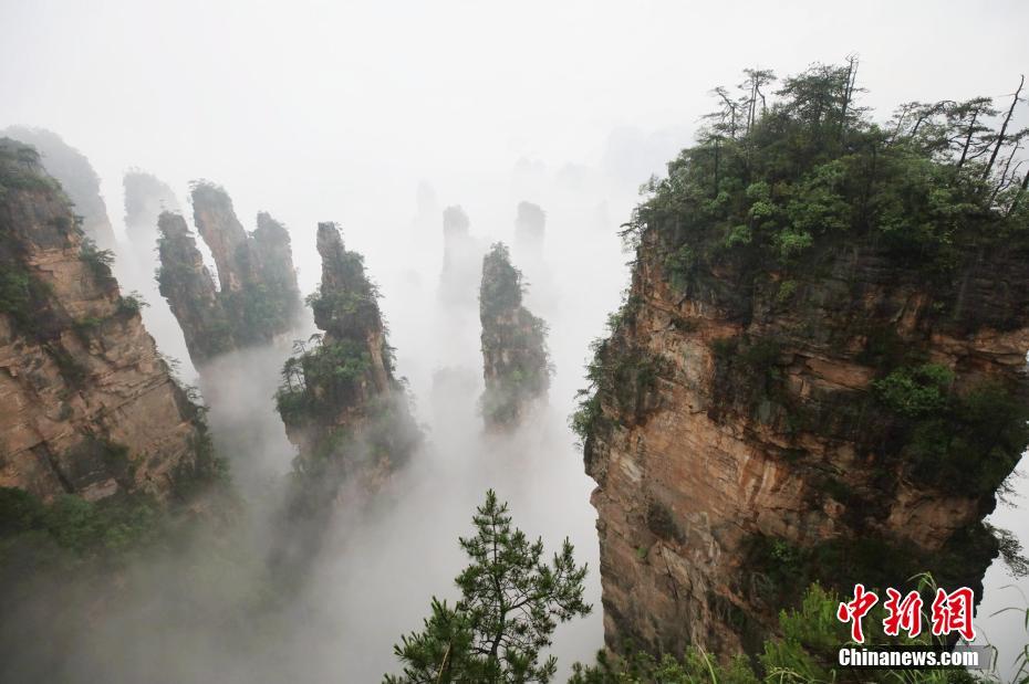 ????? ????? ?????? ??????????? ??? ???? ?????