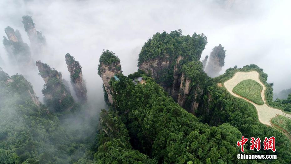 ????? ????? ?????? ??????????? ??? ???? ?????