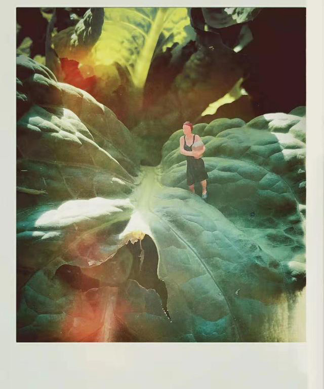 ??????: ??? ???? ???? 