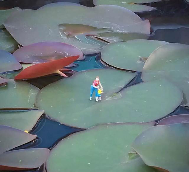 ??????: ??? ???? ???? 