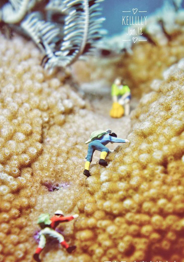 ??????: ??? ???? ???? 