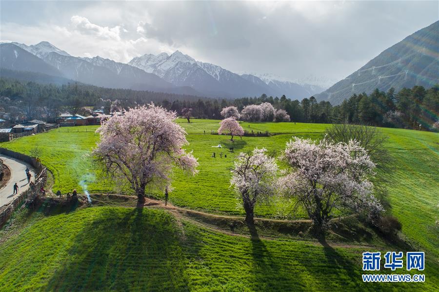 ????? ???? ???? ????? ?????? ?????