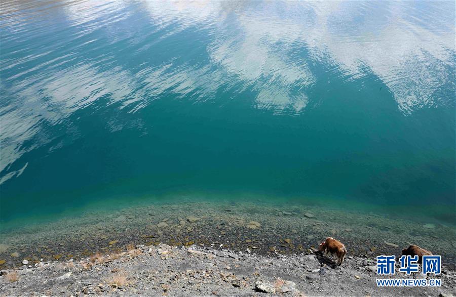 ????? ???? ???? ????? ?????? ?????