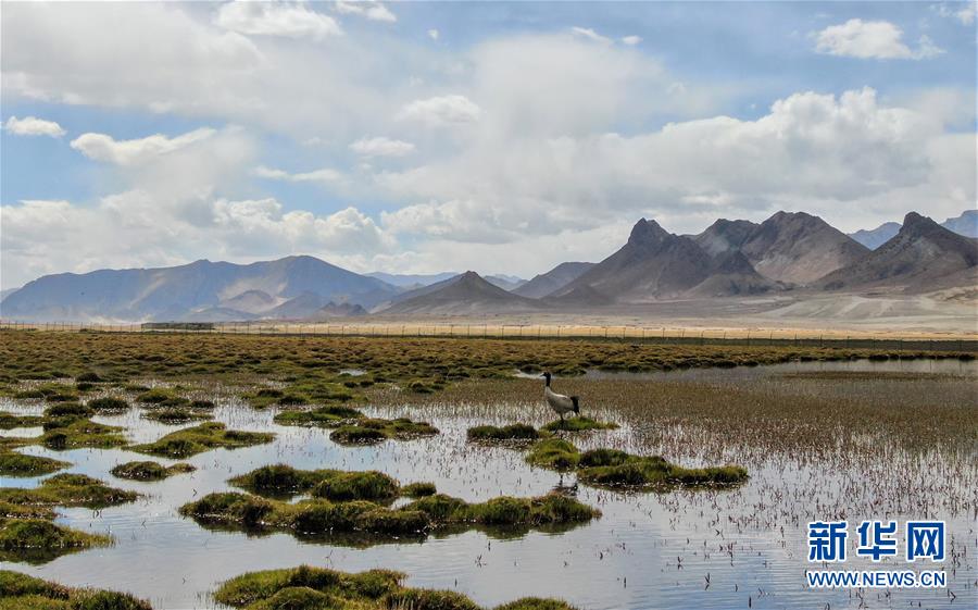 ????? ???? ???? ????? ?????? ?????