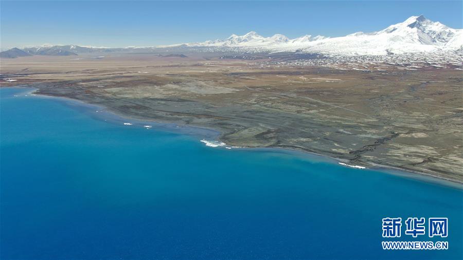 ????? ???? ???? ????? ?????? ?????