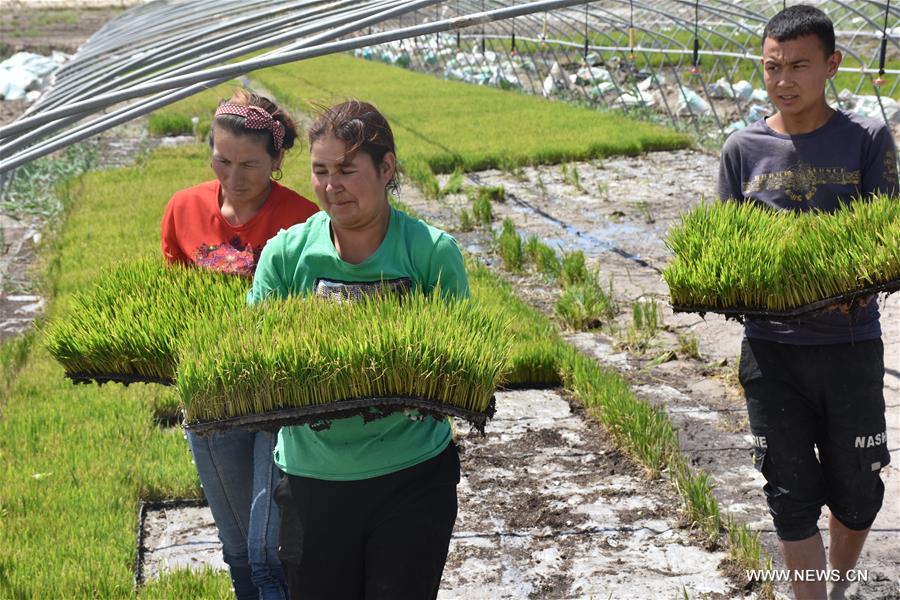 ????? ????? ?????? ???? ????? ?????? ?? ??????? ??????? ??????? ?? ????? ???? ???? ?????