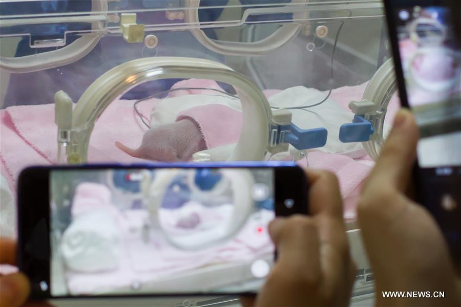 ????? ??? ????? ?????? ?? ????? ??? ????? ?? ?????