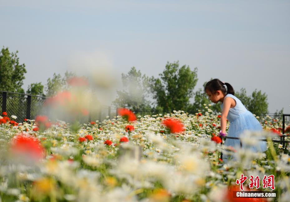 ???? ???? ?????? ??????? ???? ???? ?? ?????? ????