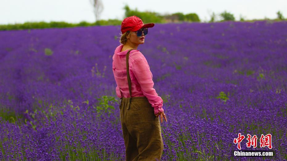 ??? ???? ???????? ?????? ?? ????????