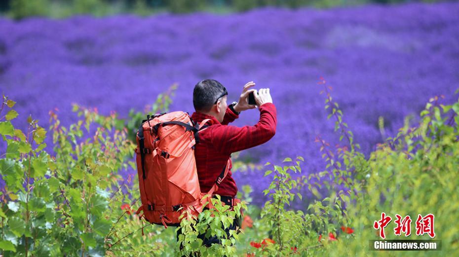 ??? ???? ???????? ?????? ?? ????????