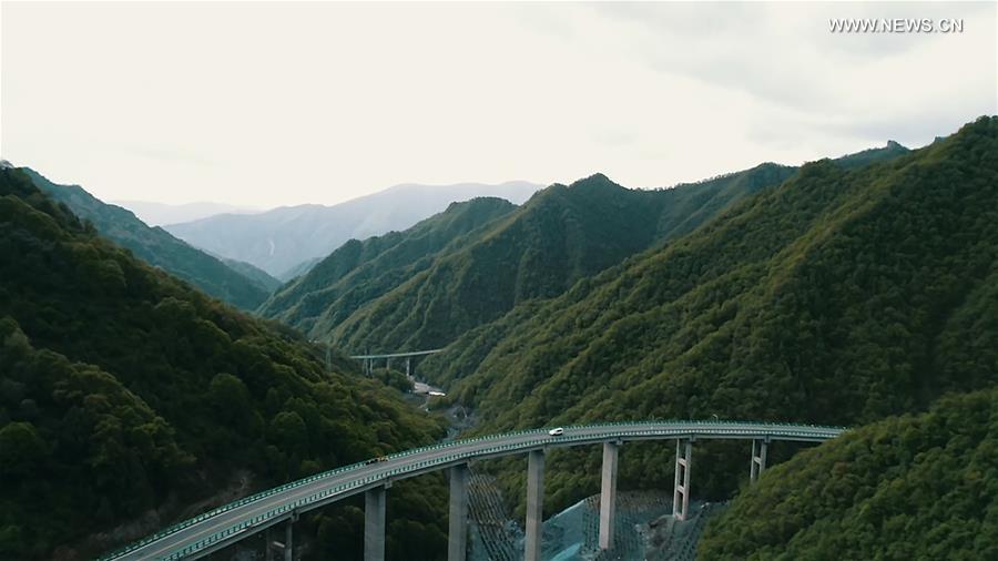 ?????? ???????? ????? ?????? ?????? ???????