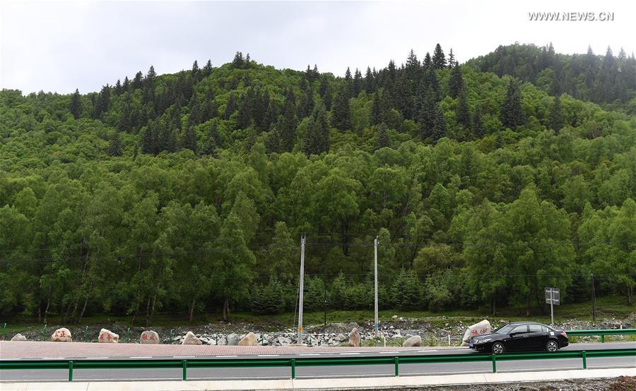 ?????? ???????? ????? ?????? ?????? ???????