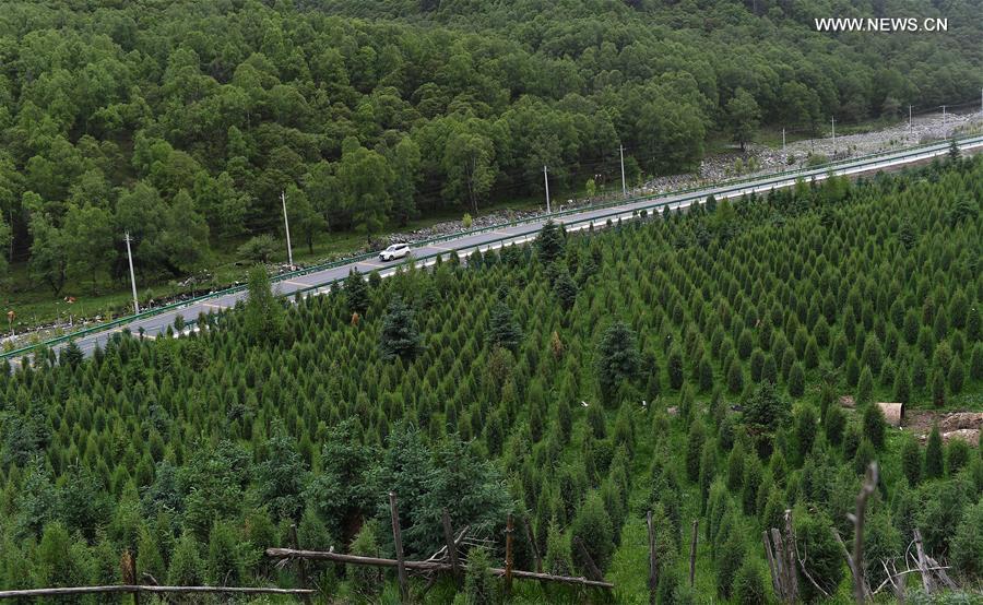 ?????? ???????? ????? ?????? ?????? ???????