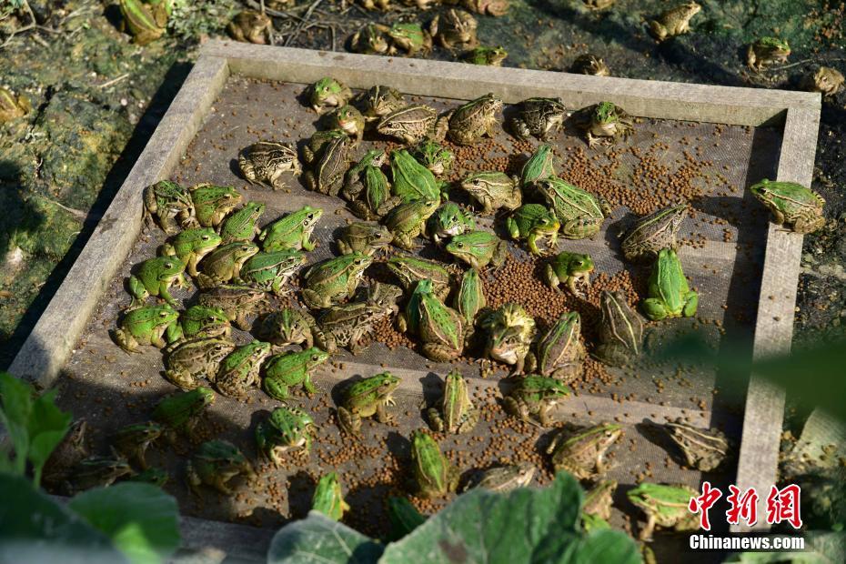 ??????: ???? ????? ????? ??? 