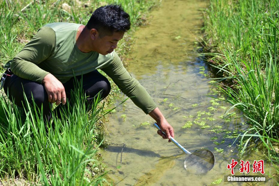 ??????: ???? ????? ????? ??? 