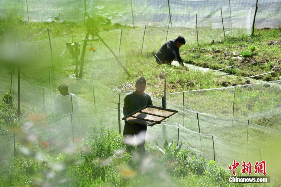 ??????: ???? ????? ????? ??? 