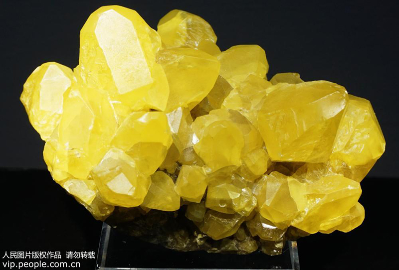 ???? ??????? ??????? ??????? ?? ???????