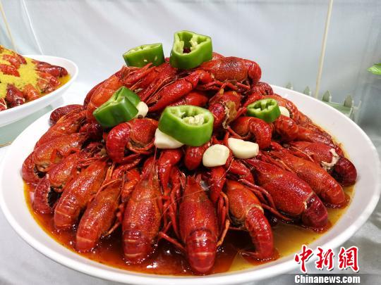 ???? ????? ??? ???? ????? ????????? ?? ?????