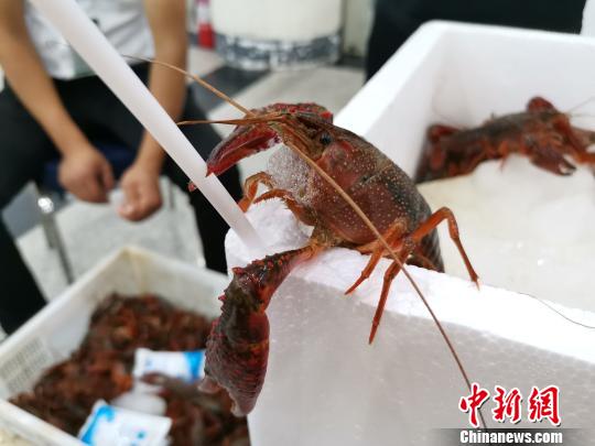 ???? ????? ??? ???? ????? ????????? ?? ?????