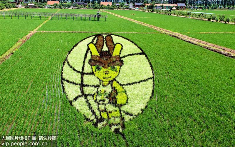 ????? ?????? ?? ???? ????? ???????? ??????? ???70 ?????? ????? ???????