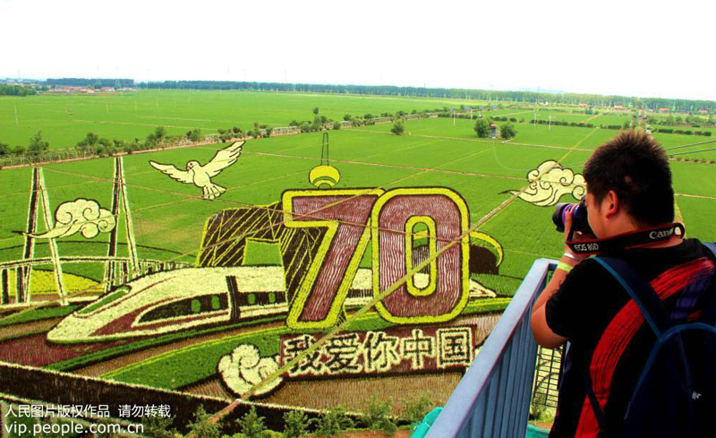 ????? ?????? ?? ???? ????? ???????? ??????? ???70 ?????? ????? ???????