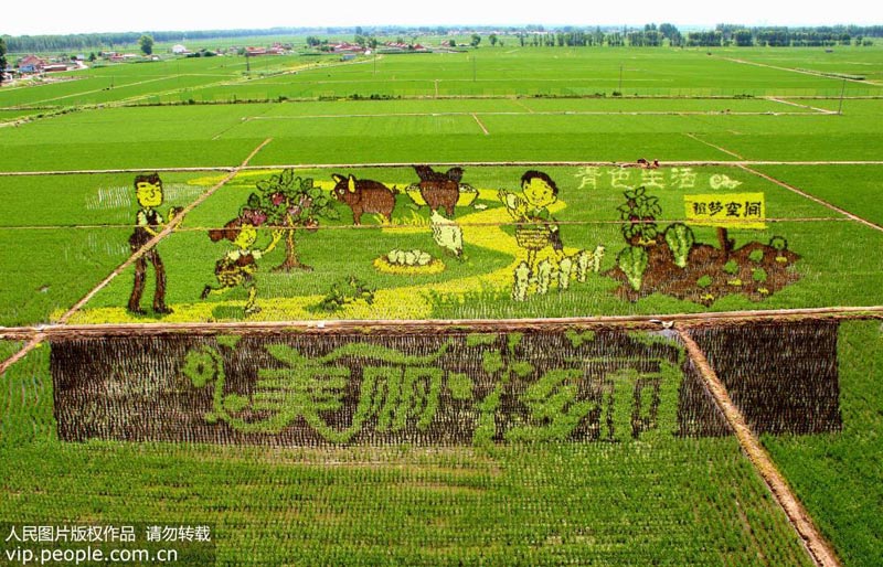 ????? ?????? ?? ???? ????? ???????? ??????? ???70 ?????? ????? ???????