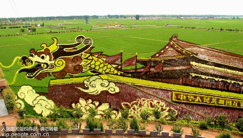 ????? ?????? ?? ???? ????? ???????? ??????? ???70 ?????? ????? ???????