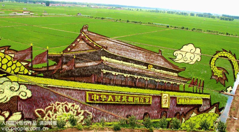 ????? ?????? ?? ???? ????? ???????? ??????? ???70 ?????? ????? ???????