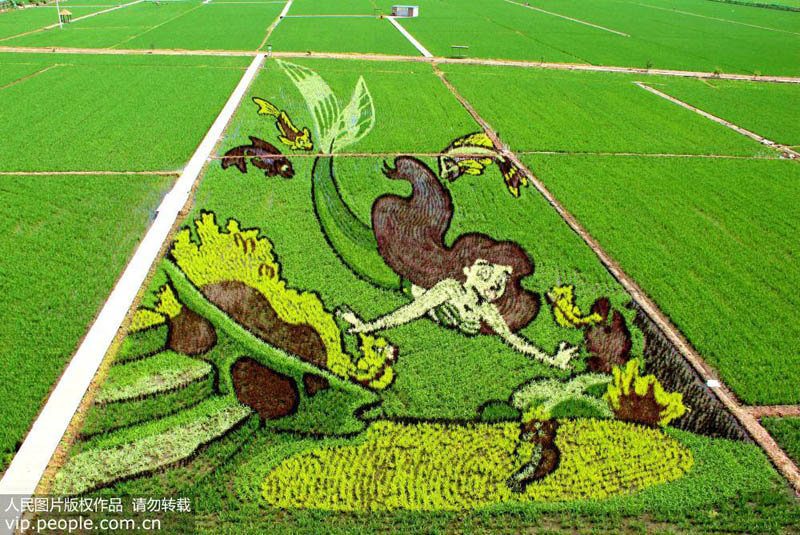 ????? ?????? ?? ???? ????? ???????? ??????? ???70 ?????? ????? ???????