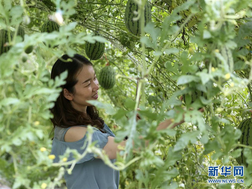 ????? ?????? ??????? ?? ???? ?????