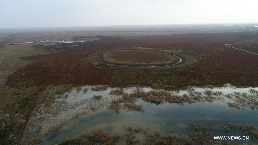 ????? ?????? ????? ?????? ???????? ?? ????? ?????? ???????