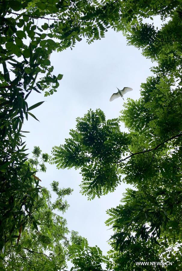 ????? ?????? ????? ?????? ???????? ?? ????? ?????? ???????