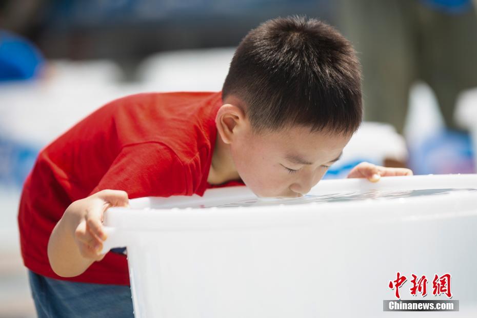 ??? ????? ???? ?????? ???????? ?? 