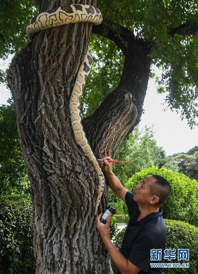 ????: ??? ????????? ??? ???????