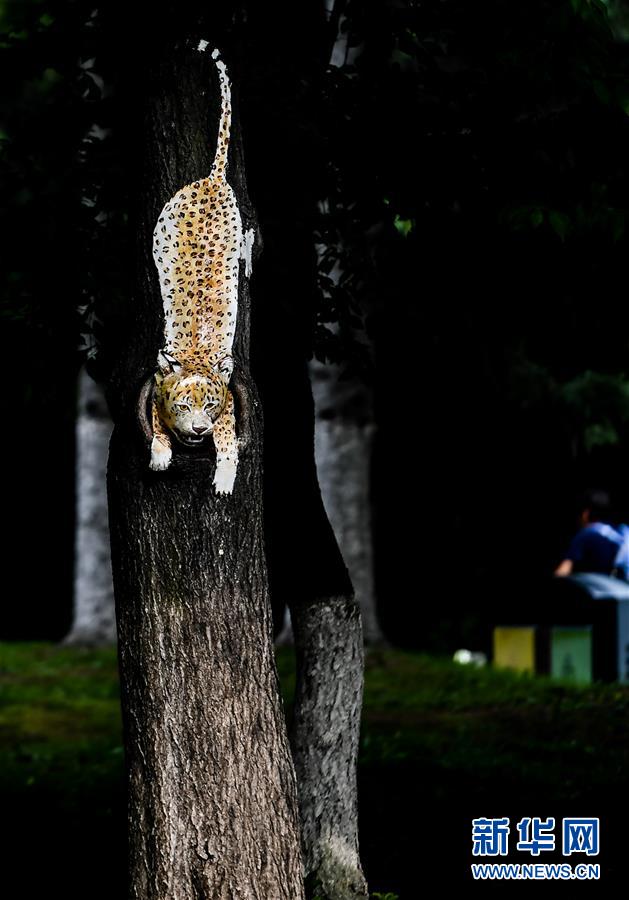 ????: ??? ????????? ??? ???????