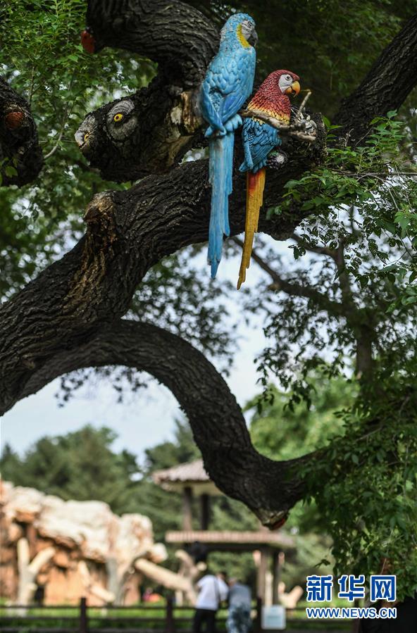 ????: ??? ????????? ??? ???????