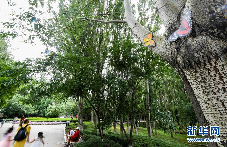 ????: ??? ????????? ??? ???????