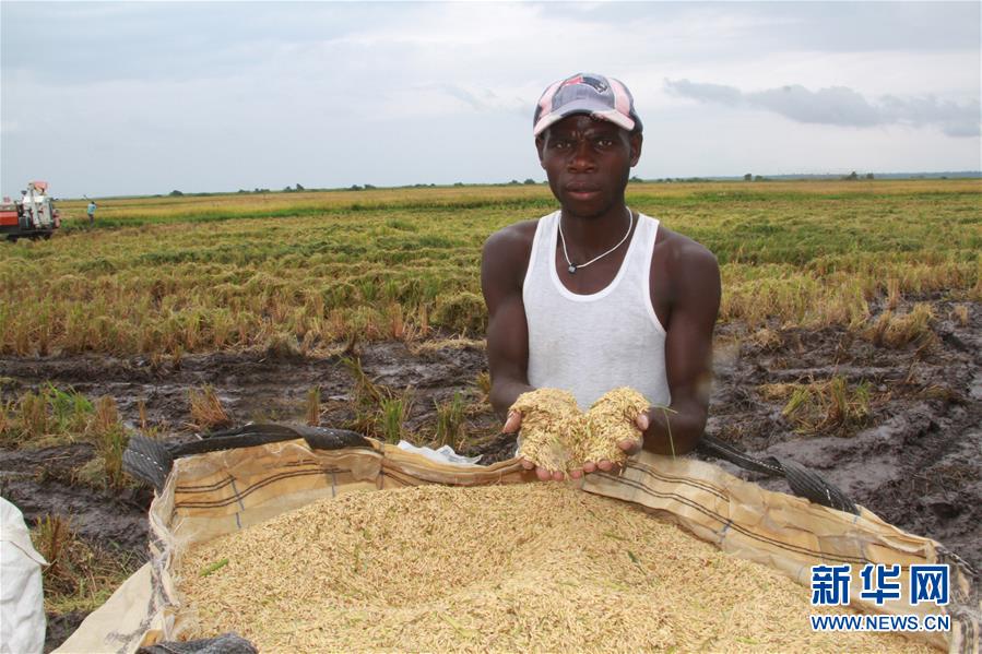 ???? ??? ????? ??? ??? ????? ?? ?????? ??????? ???? ?????