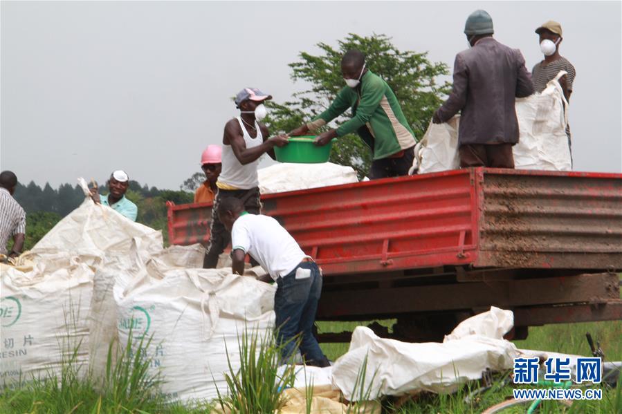 ???? ??? ????? ??? ??? ????? ?? ?????? ??????? ???? ?????