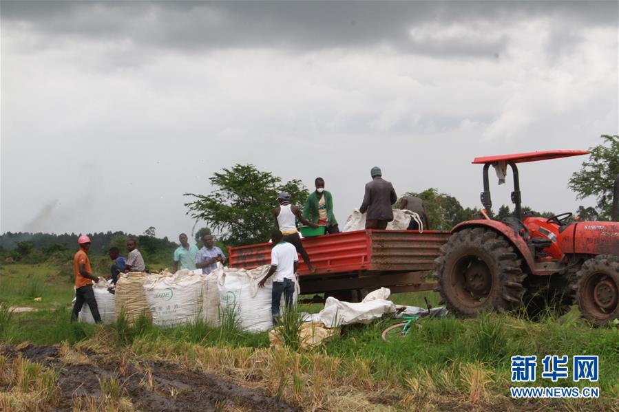 ???? ??? ????? ??? ??? ????? ?? ?????? ??????? ???? ?????