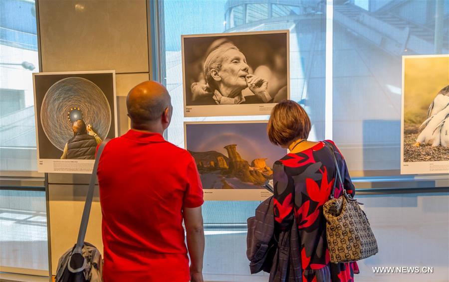 ???? ??? ???? ?????? ???????? ?????? ???????? ???????-?????????