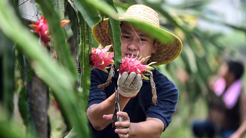 ??????: ????? ?????? ???? 