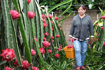 ??????: ????? ?????? ???? 