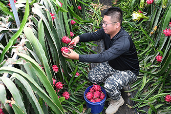 ??????: ????? ?????? ???? 