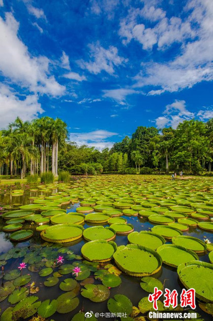 ???? ???? .. ???? ???? ??? ???? ??? ??? ?????