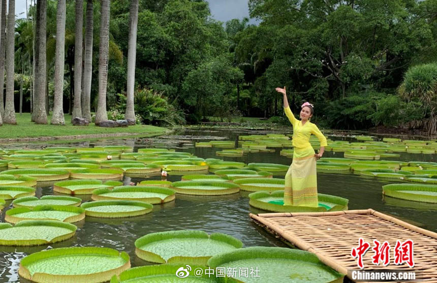 ???? ???? .. ???? ???? ??? ???? ??? ??? ?????