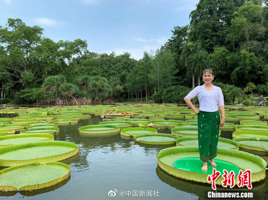 ???? ???? .. ???? ???? ??? ???? ??? ??? ?????